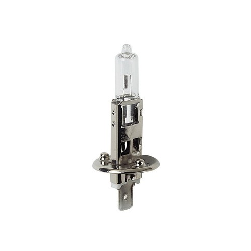 Lot ampoules 12v - 10,
