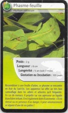 Bioviva Cards! - Phasma Leaf