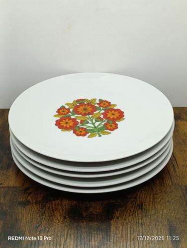 Assiettes porcelaine de - porcelaine,