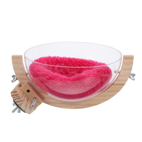 Nid transparent pour - , perroquet