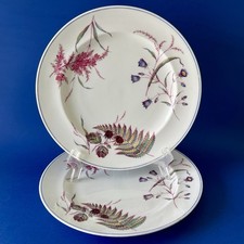 2 Assiettes Minton 19ème 1866