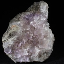 Fluorite - Tounfite - Midelt - Maroc - 17 x 12 cm