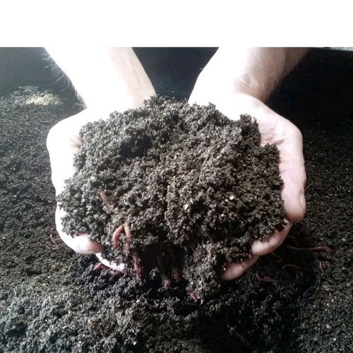 Eco wormz worm castings 10lbs - eco, castings.