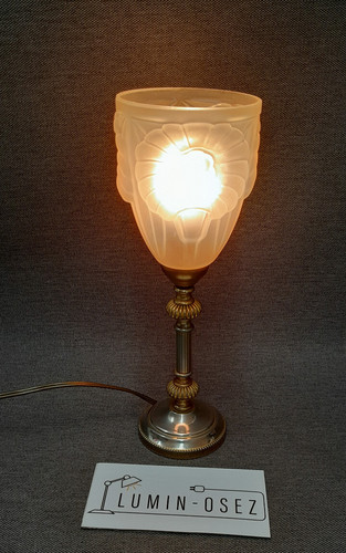 Lampe dlg art nouveau verre - dlg,