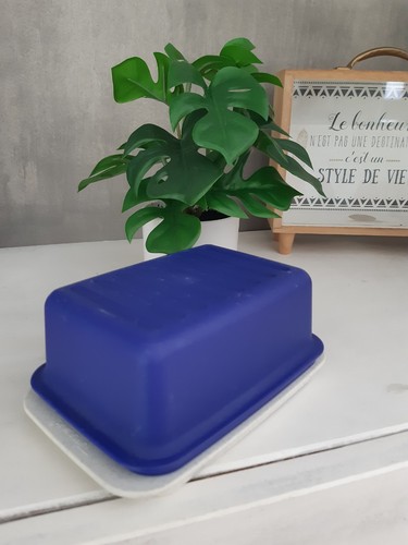 Beurrier tupperware vintage - beurrier, en