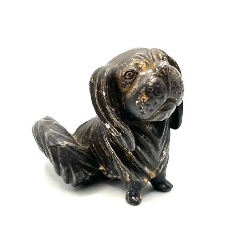 Cavalier king charles spaniel - cavalier,