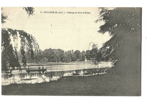 Pouance etang du bois d - ,
