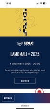 2 Places de Concert M Mathieu Chedid LAMOMALI  URGENT !!! LYON LDLC