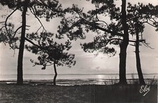 33 BASSIN D'ARCACHON SUNSET - 48159