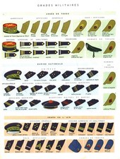 Antique Military Grades Board Document - 1967 Book Uniforms