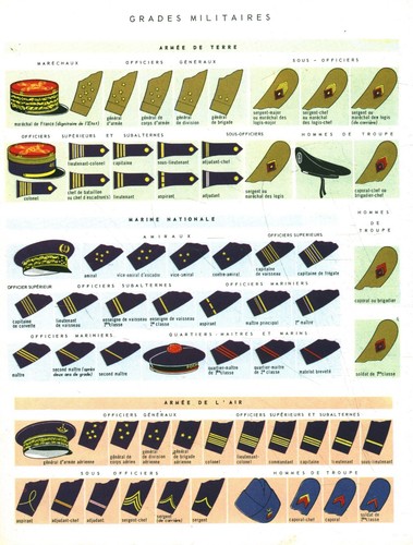 Document planche ancienne
