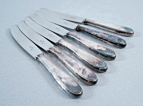 Couteaux nobles wmf friodur - 6,