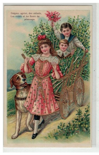 Chien 17238 grand - chien,