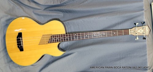 Washburn acoustic electric - washburn,