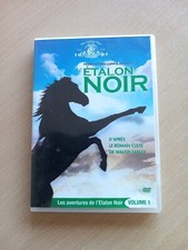 DVD - L'ETALON NOIR