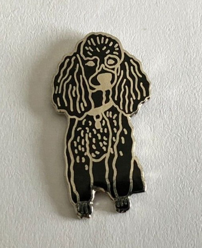 Pin chien caniche noir - chien,
