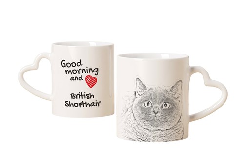 British shorthair tasse avec - british,