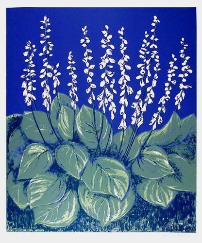Janet mustin hosta lys - janet, mustin,