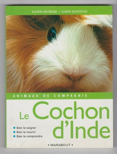 Cochon inde bien - d'inde, le