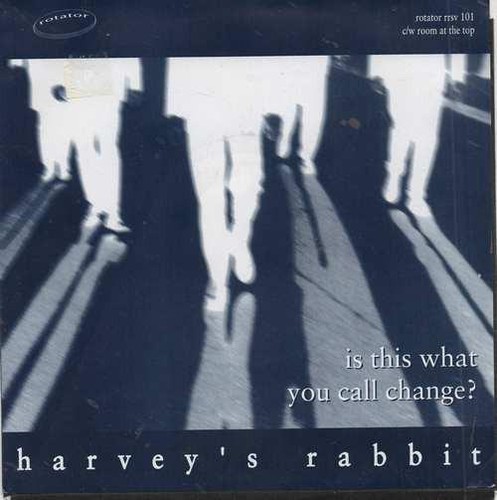 Harvey rabbit this - harvey's,