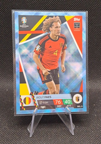 Wout faes card - faes,
