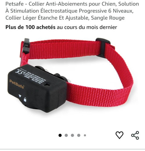 Collier anti aboiement - anti-aboiement, chien