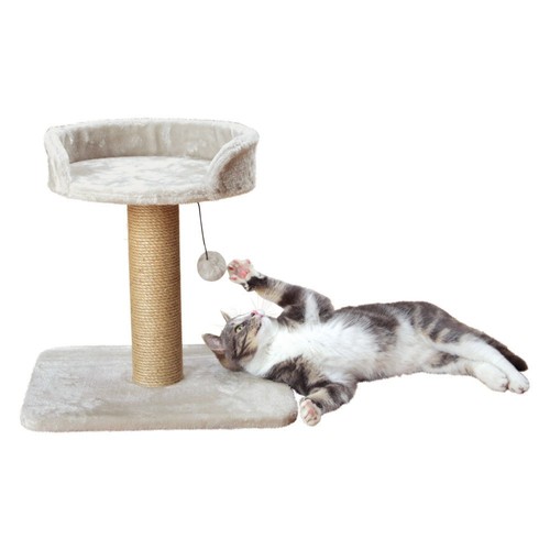 Arbre chat mica x - arbre, mica,