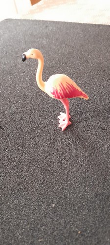 Animal oiseau flamant rose - flamant,