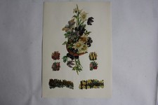 1890 Lucky Horseshoe Embossed Chrome Images (50267)