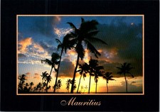 Mauritius Pointe Aux Piments Sunset Palm Trees Beautiful Scenery Postcard