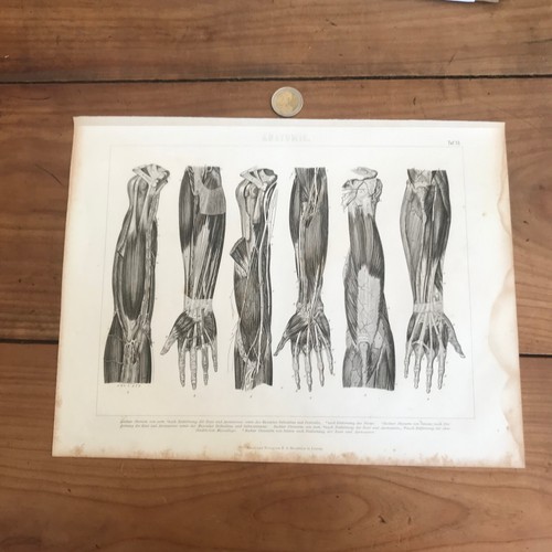 Gravure ancienne 19eme - gravure, n739