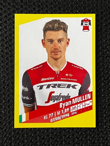 Sticker vignette panini ryan - panini,