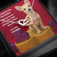 Tan Chihuahua Happy Valentines