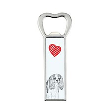 Cavalier King Charles Spaniel