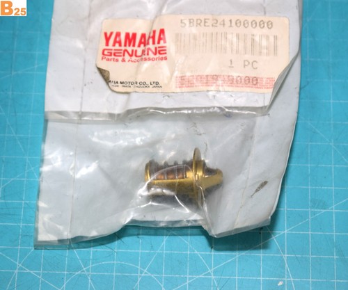 Thermostat origine yamaha - thermostat,