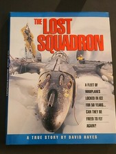 The Lost Squadron A True Story
