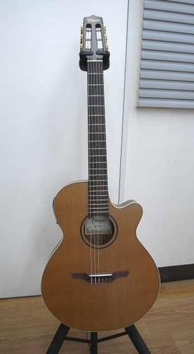 Takamine electro acoustic - electro,
