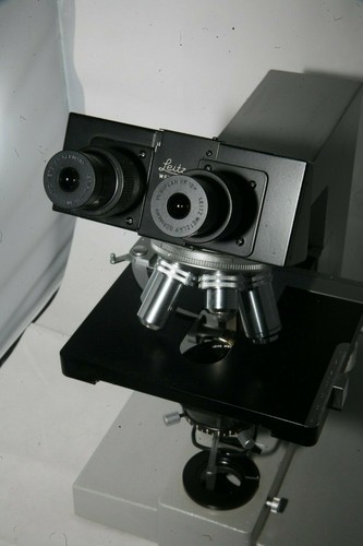 Microscopio leitz dialux - microscopio,