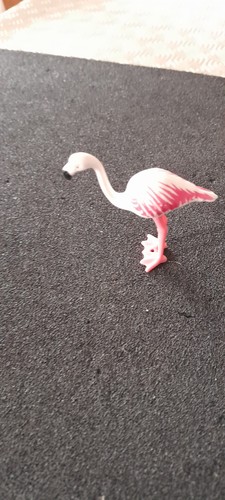 Animal oiseau flamant rose - animal,