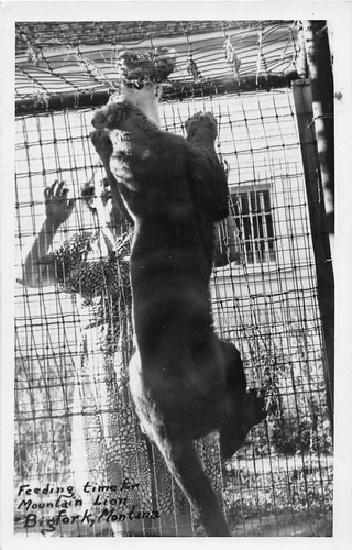 H58 bigfork montana rppc - h58/,