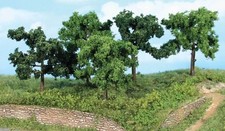 HEKI, 5 Arbres fruitiers 8-10