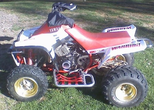 Warrior 350 stock style full - style,