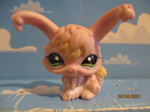 Petshop lapin angora - petshop,