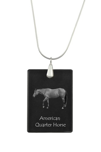 Collier argent avec pendentif - argent,