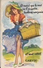 62 - carvin - multtivue