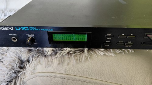 Roland 110 pcm - pcm, module