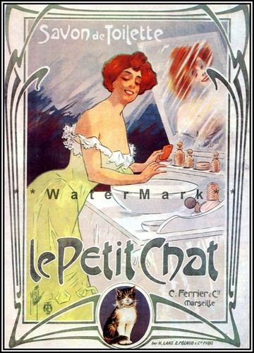 290446 petit chat 1899 - 290446, le