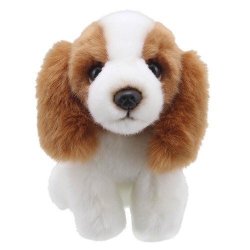 Peluche king charles spaniel - peluche,