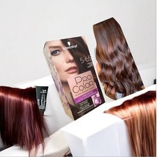 LOT DE  2 COLORATIONS