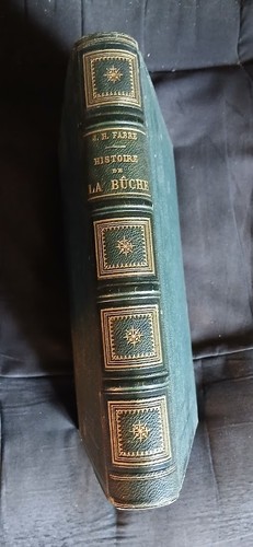 Histoire bûche récits - de, bûche,